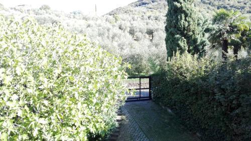 Apartamento Terrazza Sugli Ulivi