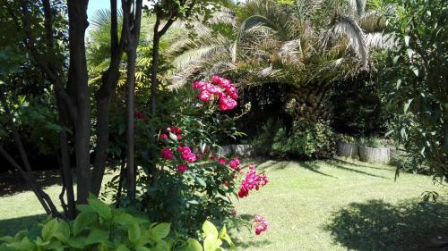 Apartamento Terrazza Sugli Ulivi