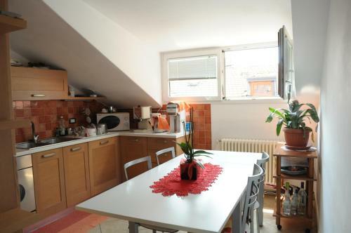 Linden Apartment