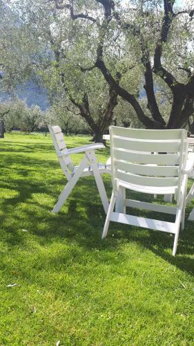 Apartamento Olive Tree House