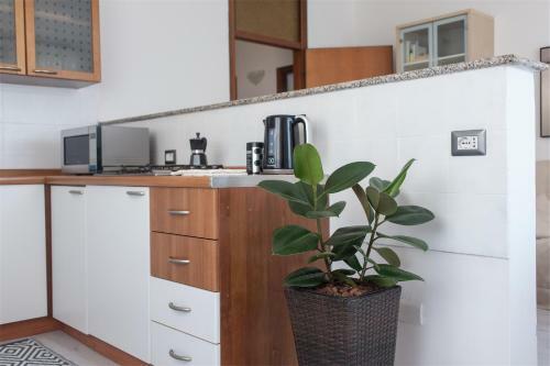 Apartamento Casa Jordan E Martin