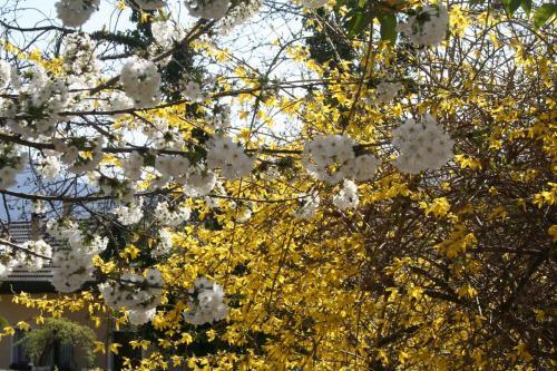 Bed & Breakfast Albergo Garn� Villa Moretti
