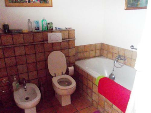 Lupo Solitario