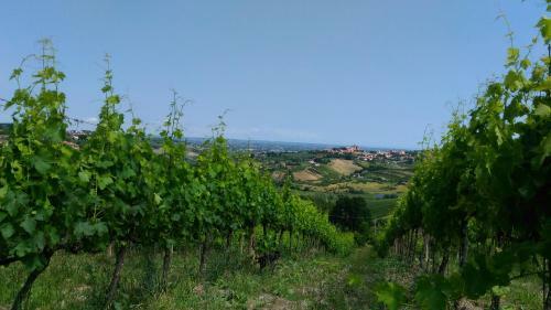 Hostal Ca' Fabbri