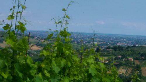 Hostal Ca' Fabbri