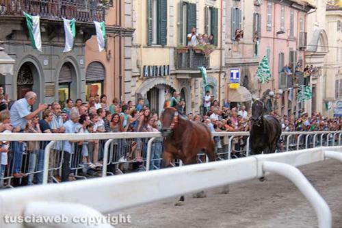 Appartamentino Di Corso Umberto
