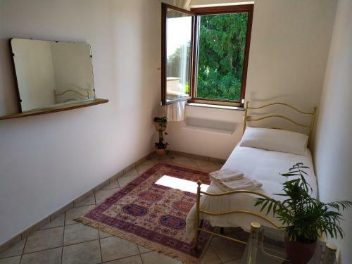 Hostal Alloggio Al 29