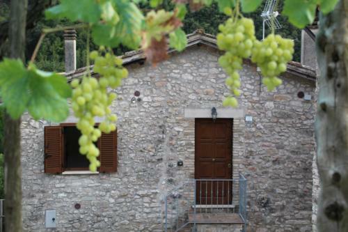 Apartamento L'oasi Di Zio Franco