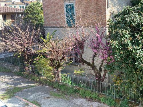 Apartamento Smartspot Rosia