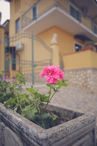 B&B Dei Segreti