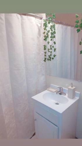 Apartamento Cute And Cozy Downtown Oasis