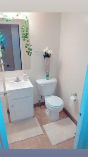 Apartamento Cute And Cozy Downtown Oasis