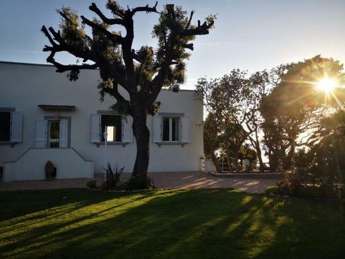 Villa Indipendente Con Discesa Al Mare Privata