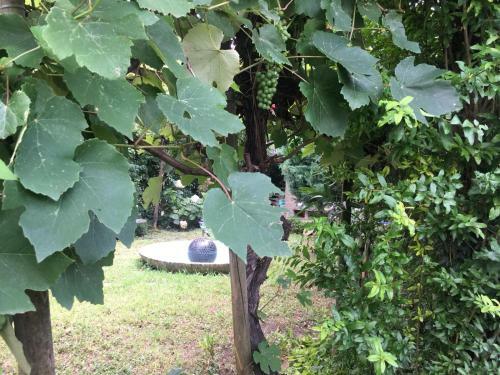 Bed & Breakfast Alla Rotonda Dai Santi