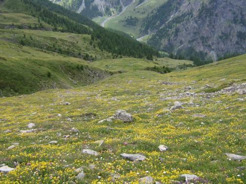Apartamento Verde Sole Neve