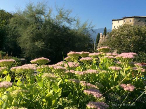 Bed & Breakfast Vista Castello