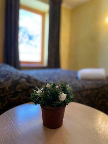 Apartamento Suite - La Casa Del Maestro