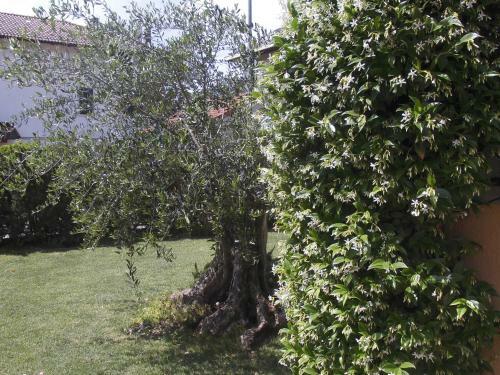 B&B Diele