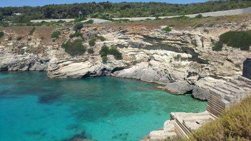 Bed & Breakfast Masseria Violante