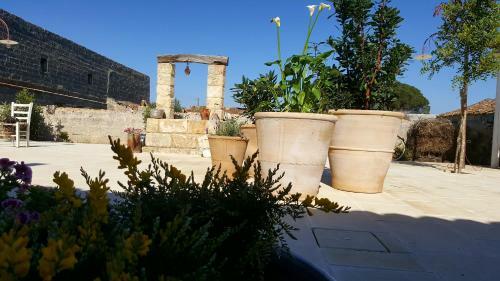 Bed & Breakfast Masseria Violante