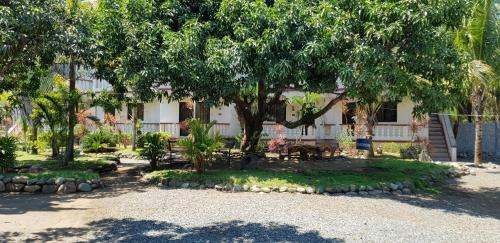 Seasun Beach Resort & Hotel
