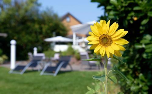Hotel Schluister Park