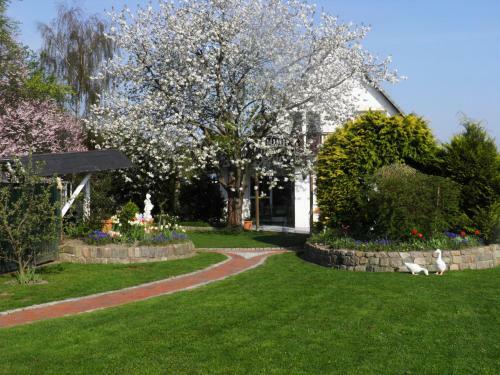 Hostal G�stehaus Ziemann