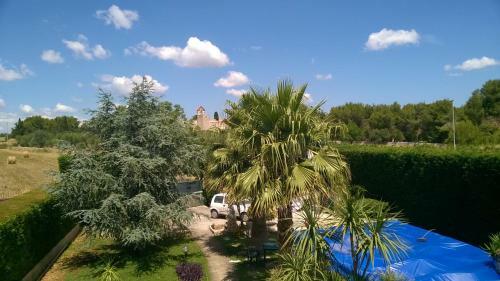 Bed & Breakfast Il Trullo Di Fabio
