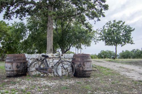 Agroturismo Tenuta Tedone Consolini