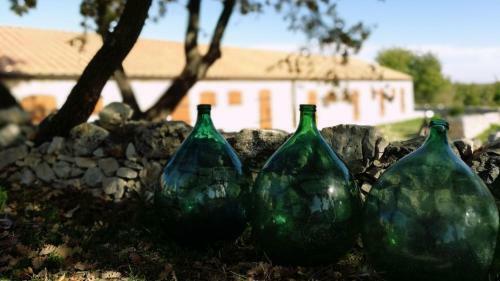 Agroturismo Tenuta Tedone Consolini