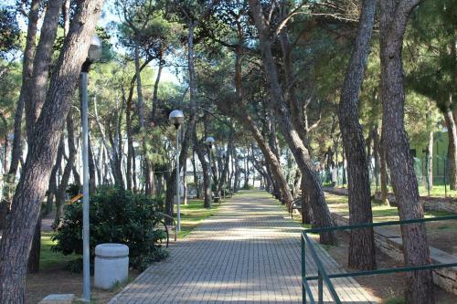 Bed & Breakfast La Pigna