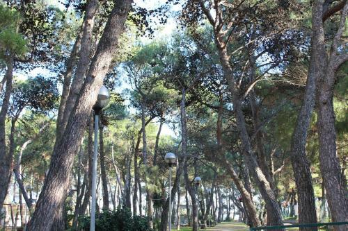 Bed & Breakfast La Pigna