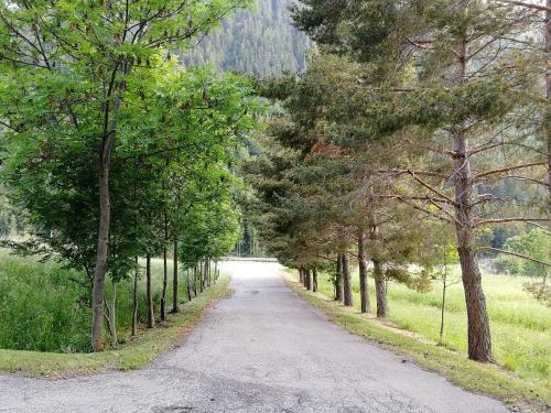 Apartamento Le Renard