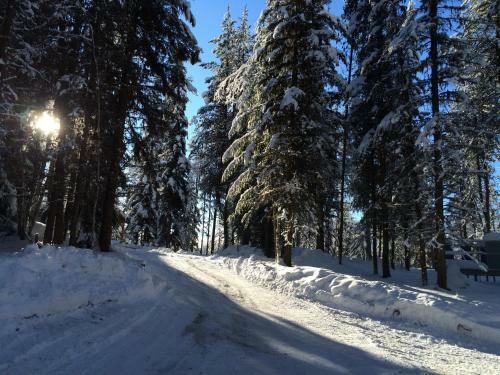 The Ridge At Glacier - Luxury Cabins