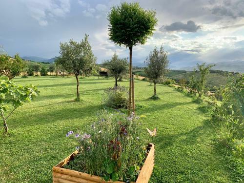 B&B La Casa Del Sole