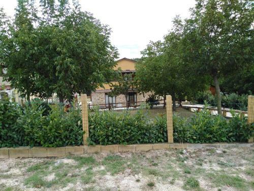 Villa Lalli