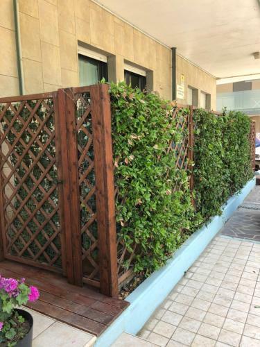 Aparthotel Residence Frontemare