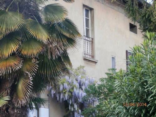 Il Glicine Apartment Rimini