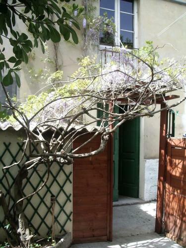 Il Glicine Apartment Rimini