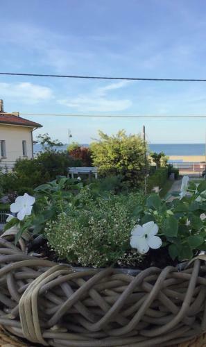 Apartamento Stella Di Mare