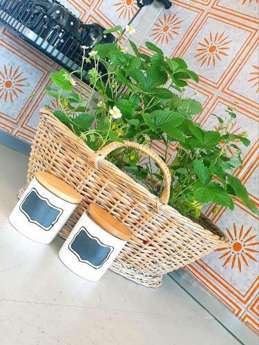 Apartamento La Petite Maison Sur Saint Vincent