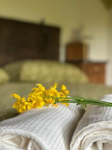 Bed & Breakfast Cascina Boschetto