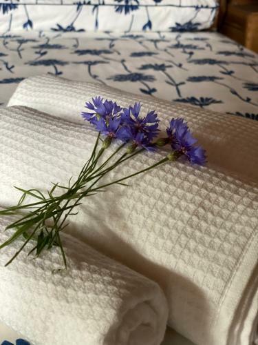 Bed & Breakfast Cascina Boschetto