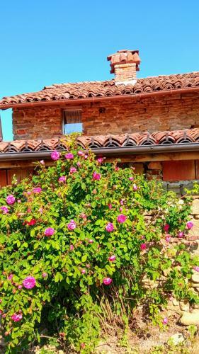 Bed & Breakfast Cascina Boschetto