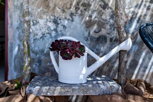 Agroturismo Masseria Pezza