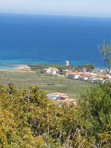 Hostal Caletta Sul Mare