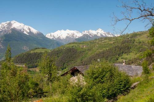 Apartamento La Cascina D'orleans