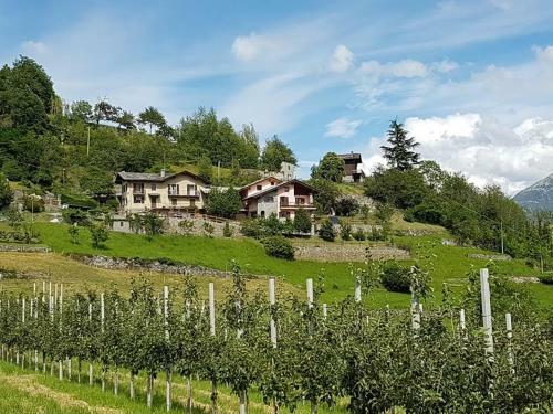 Apartamento Casale Delle Alpi A Saint-pierre - 6 Km Da Aosta