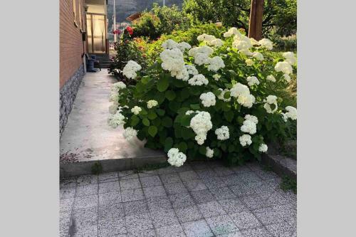 Apartamento La Maison Des Hirondelles
