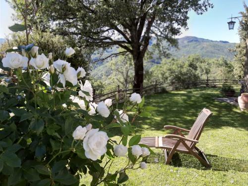 Tuscany Villa Galearpe